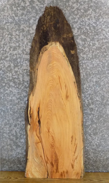 Rustic Hardwood Live Edge Locust Sofa Table Top Slab 40010